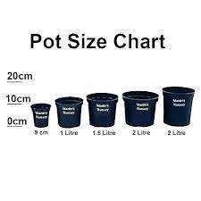 Plant Pot Sizes Chart Pernime Info