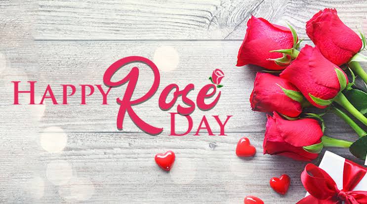 rose day