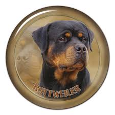 You'll find some other rottweiler colors touted as unique, or special. 3d Sticker Rottweiler 101 C From Alldogstickers Com Dog Breed Stickers Not Only For Your Car