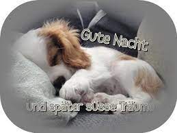 Wünsche deinem schatz und deinen freunden eine gute wir haben dir hier eine sammlung an schönen und lustigen gute nacht sprüchen zusammengestellt. Gute Nacht Lustig Gute Nacht Kuss Gute Nacht