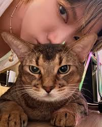 Louis Leon Bella Levi Coco