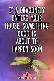 But the meaning of red dragonfly includes both good and bad omens: What Does It Mean When A Dragonfly Lands On You 9 Symbolic Meanings About Spiritual