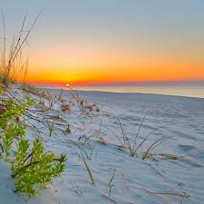Dogs aren't welcome on florida or alabama beaches. Boat In Camping Gulf Islands National Seashore U S National Park Service