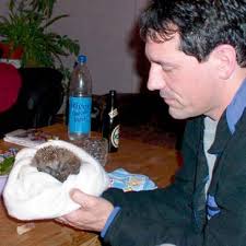 The Hedgehog Welfare Society