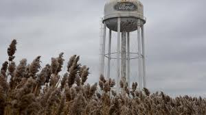 Northeast Ohio Suburbs, Divided Between Clinton and Trump, Look Ahead to a  New President