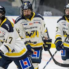 Följ oss även på sociala medier: Dam Good Veteran Danielle Stone Has 5 Point Outburst For Hv71 The Ice Garden