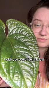 Sylvanas (@sylvanas610)