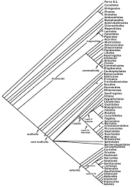 Image result for Balthasaria