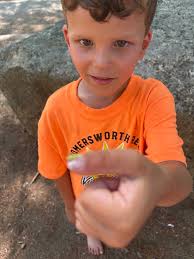It may have been hot today, but our campers were busy staying cool by  Pawtuckaway Lake! Much fun was had by all as always.