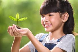 1,200+ Hope Human Hand Planting Tree Stock Photos, Pictures & Royalty-Free  Images