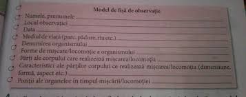 Anexa nr.1 e un spațiu alternativ, de creație, unde vom desfășura numeroase workshopuri, vom vernisa expoziții ale tinerilor. Model De Fisa De Observatie Brainly Ro