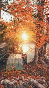Wallpaper Vertical Portrait Display Fall Boat Sun 1152x2048 Devilson 1687437 Hd Wallpapers Wallhere We offer an extraordinary number of hd images that will instantly freshen up your smartphone or computer. vertical portrait display fall boat