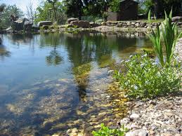 Naturnaher Schwimmteich Am Hang Mit Strandkorb Und Holzterrasse Schwimmteich Wasser Im Garten Holzterrasse
