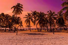 Copy of tropical beach zoom background | postermywall. Caribbean Beach Sunset Free Photo On Pixabay