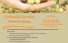 UPA celebra el martes en Mora jornada dedicada al olivar tradicional