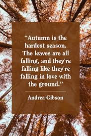 Check out the movie quotes below and test your memory to see how many you remember. 55 Best Fall Quotes 2020 Inspirational Autumn Quotes For Instagram