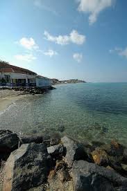 Παλιούρι (παλλήνη), οικόπεδο 312 τ.μ. Foyrka Xwrio Kassandra Gtp
