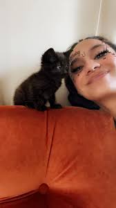 Hi onerahi community just wondering if anyone has seen my cat he's been  missing since yesterday. He's got no tail an is my kids kitty please if  anyone sees him can he