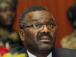 Darfur rebel group leader killed