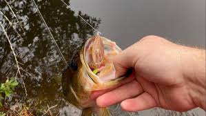 How Weedless is the Johnson Silver Minnow?