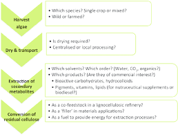 Decision Making Flow Chart For Green Processing Of Algae