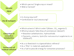 decision making flow chart for green processing of algae