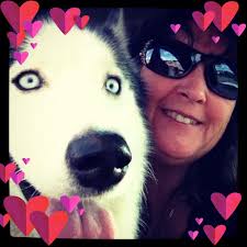 Are there any updates