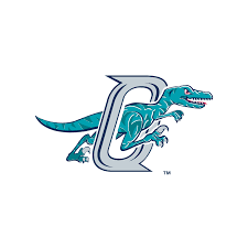 This free icons png design of raptor logo png icons has been published by iconspng.com. Ogden Raptors Logo Vector