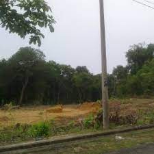 (tabanan) (jalan denpasar soka) jalan denpasar soka. Tanah Jual Tanah Tanah Untuk Dijual Beli Tanah Tanah Untuk Dibeli Sewa Tanah Tanah Untuk Disewa