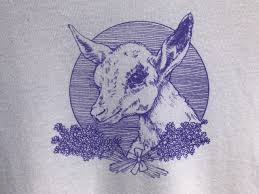 755 x 800 jpeg 207 кб. Baby Goat T Shirt Mad Lavender Farm