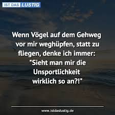 Weitere ideen zu lustige sprüche, sprüche, witzige sprüche. Die Besten 12 Vogel Spruche Auf Istdaslustig De