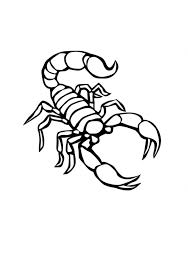 Free Printable Scorpion Coloring Pages For Kids Small Tattoos Coloring Pages Scorpion Tattoo