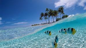 Tari̇h surinam'ın bilinen ilk sakinleri kızılderililer'dir. Surinam Photos Featured Images Of Surinam Savanne District Tripadvisor
