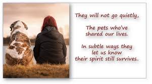These are some short and simple pet loss poems. 35 Sympathy Card Condolence Messages Loss Of Pet