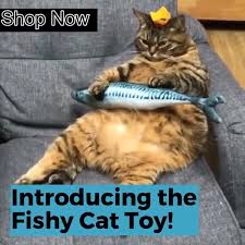1 made of cotton and short plush it s soft and will not do harm to cats paws 2 the simulation komik hayvan videolari hayvan fikralari cok sirin hayvanlar