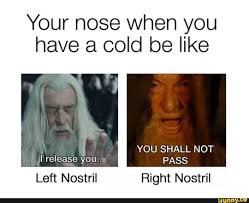 Your Nose When You Have A Cold Be Like Left Nostril Right Nostril Ifunny Lotr Funny Hobbit Memes Lord Of The Rings