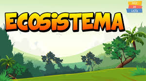 2 tipos de ecosistemas y su clasificación. Ecologia Tomi Digital