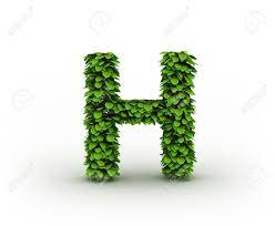Genetics home reference content now can be found in the genetics section of medlineplus. Letter H Alphabet Von Grunen Blattern Lizenzfreie Fotos Bilder Und Stock Fotografie Image 12668914