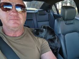 English labrador as loving companion