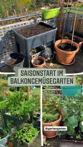 Wisst ihr ob man alles auf dem balkon züchten kann. 370 Eigenes Gemuse Anbauen Auf Terrasse Balkon Container Ideen In 2021 Gemuse Anbauen Gesundes Essen Kochen Garten
