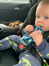 The Division of Fire would...