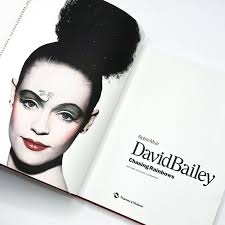 CHASING RAINBOWS by David Bailey, Robin Muir