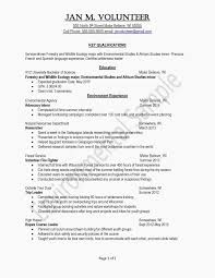 livecareer resume examples  resume