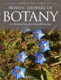 Image result for Heteranthera callifolia