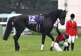 Maybe you would like to learn more about one of these? å¤©è¦§ç«¶é¦¬ æ€ã„å‡ºã®å¤©çš‡è³ž 2012å¹´ã‚¨ã‚¤ã‚·ãƒ³ãƒ•ãƒ©ãƒƒã‚·ãƒ¥ ãƒ‡ãƒ ãƒ¼ãƒ­æœ€æ•¬ç¤¼ æ­´å²ã¨æ–‡åŒ– å·¡ç¤¼ã®æ—…æ—¥è¨˜
