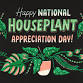 National Houseplant Day! - Plant themed flash day! event in Kalispell, MT