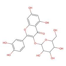 Image result for Pogonospermum ciliatum