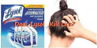 Does Lysol Kill Lice Finding Out The Best Treatment To Get Rid Of The Pesky Parasite Beautyniverse