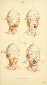 The Sick Rose Disease And The Art Of Medical Illustration Pdf Human Body Vintage Scientific Illustration Naturalist Drawing 0010 Kersz Medical Illustration Medical Drawings Scientific Illustration