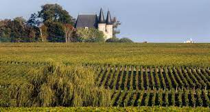 Visiter Le Vignoble De Bordeaux Oenotourisme Vin Bordeaux Bordeaux Vignoble
